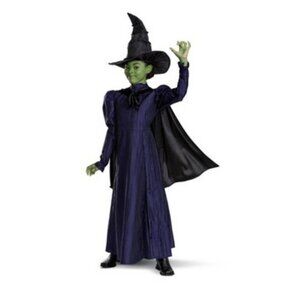 Disguise - Deluxe Wicked Elphaba Costume Cape and Hat  (Notebook & Glass Decor)